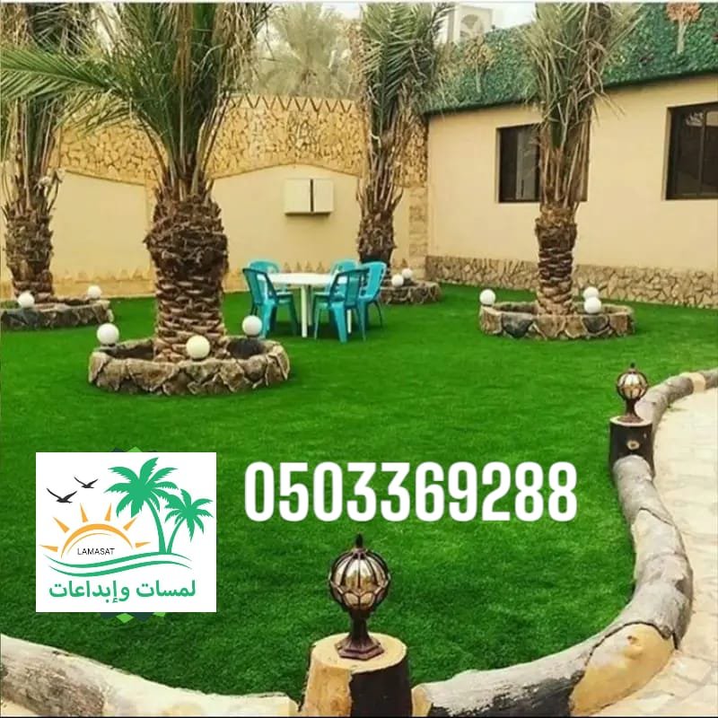 🌴. توريد وتركيب نخيل بلدي